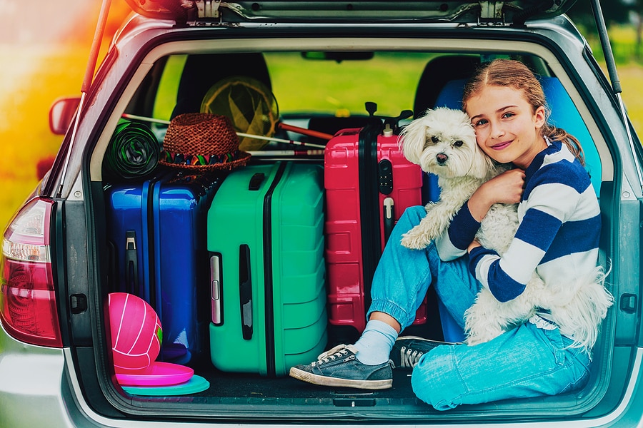 Road-Tripping with Pets