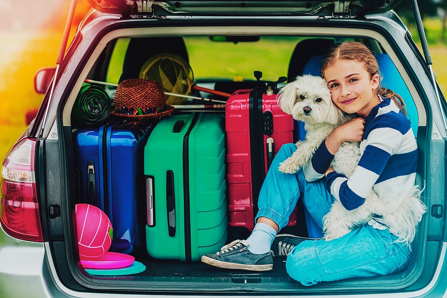 3 Tips for Road-Tripping with Pets