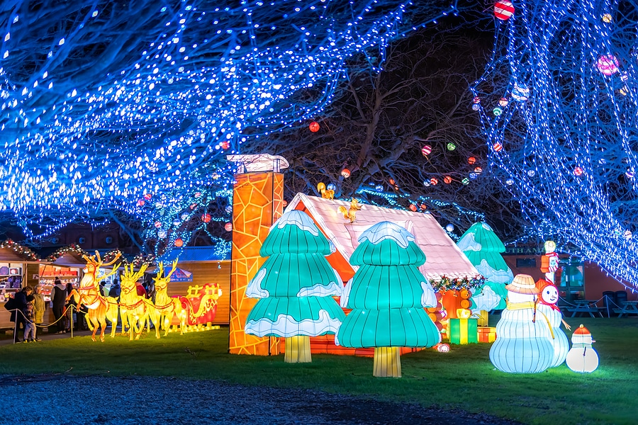 3 Tips for a Successful Christmas Lights Experience