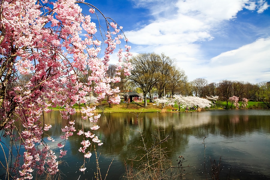 Things To Do in Newark, NJ