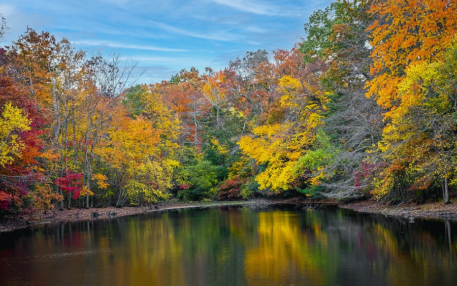 Plan Your New Jersey Fall Foliage Road Trip Today