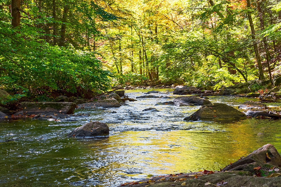 Explore Hacklebarney State Park this Fall