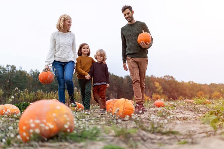 Visit New Jersey’s Best Pumpkin Patches with an SUV Rental NJ