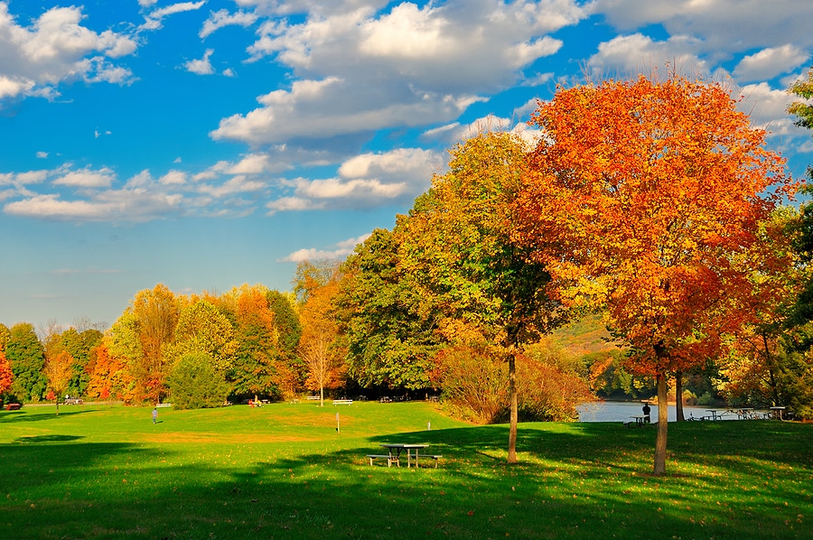 Where to See Fall Colors in New Jersey